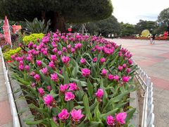 -南宁南湖公园
