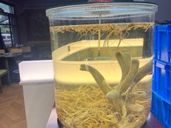 -巧婆婆特色东北菜·铁锅炖