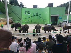 -大连森林动物园