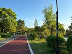 -艾溪湖湿地公园