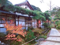 -常寂光寺