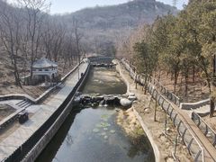 -白水寺森林公园