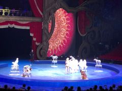 -珠海横琴长隆《卡卡虎奇遇记》