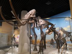 -国家自然博物馆