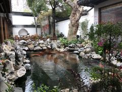 -鲤院·新中式美学·庭院餐厅(夫子庙店)