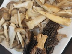 -蘑统田下·野生菌火锅