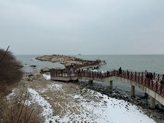 -养马岛旅游度假区