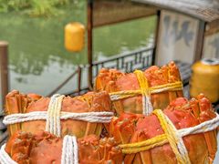 -欢乐蟹庄·精品农家乐(阳澄湖莲花岛店)