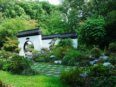 -上海共青森林公园