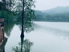 -番禺大夫山森林公园