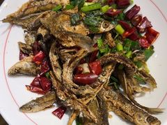 -印象鲵宴·张家界地标美食名片(溪布街店)