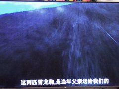 -世园罗曼小镇