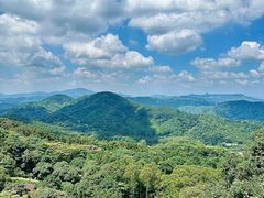 -黄埔油麻山森林公园