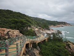 -广东惠东海龟国家级自然保护区