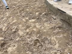 -杭州城北体育公园