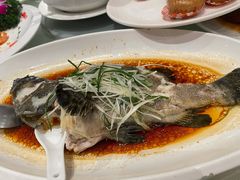 -大东海海鲜酒楼(渔人码头总店)