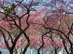 -浙江农林大学(东湖校区)