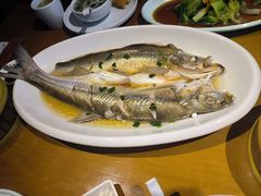 -三凤酒家·百年无锡菜(清扬茂业店)