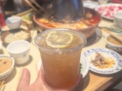 -东镇老火锅(长春路首店)