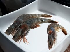 -火炉火自助餐(枫蓝国际店)