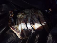 -江杨农产品批发市场