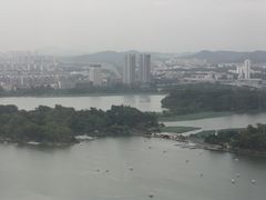 -湖影中餐厅·南京金茂威斯汀大酒店