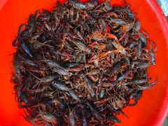 -青石桥市场北1-27号