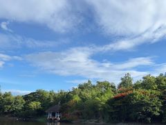 -清迈夜间动物园