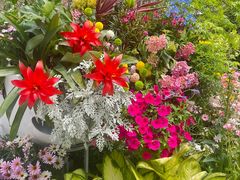 -东方体育中心(地铁站)