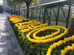 -新天地活力PARK