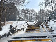 -横道河子东北虎林园