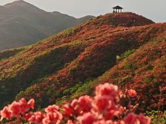 -大围山国家森林公园