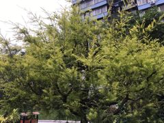 -晓港公园