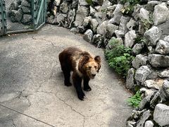 -成都动物园