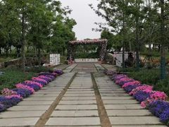 -春花秋色城市公园