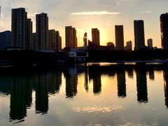 -青枫公园