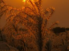 -盘龙城国家考古遗址公园