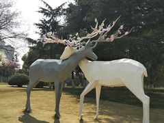 -后襄河公园