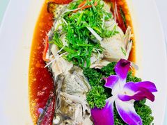 -小贝壳酒楼(经九路店)