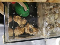-阿杰臻选海鲜饭店(普陀山店)
