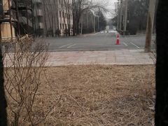 -辽宁省实验中学