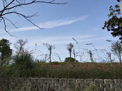 -尚贤河湿地