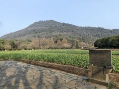 -八卦田遗址公园