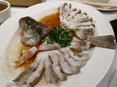清蒸生猛鲈鱼-稻香酒家·35年老字号(侨光店)