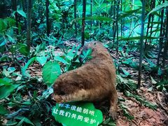-浙江自然博物院(杭州馆)