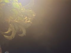 -JW万豪厨房餐厅·滨海草坪烧烤·海鲜·海景(三亚绿发山海天JW万豪酒店)