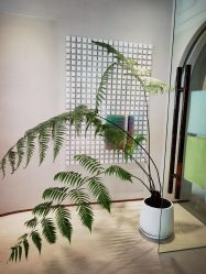-时光海科学美肤中心
