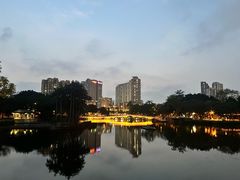 -荔湾湖公园