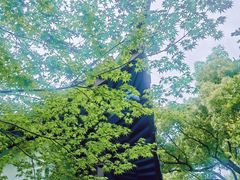 -西湖游船