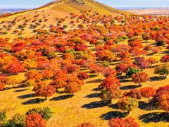 -五角枫生态旅游景区